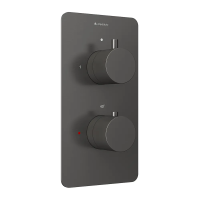 Смеситель Aqueduto Aceno ACE0245 для ванны, термостат, встраиваемый, на 2 потребителя, вороненная сталь