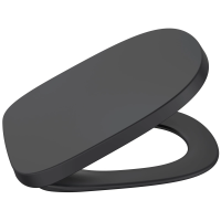 Сиденье для унитаза с микролифтом Roca Beyond 801B8264B