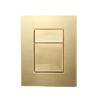 Кнопка смыва для инсталляции Wonzon & Woghand WW-IB256-BG для унитаза, пластик, цвет брашированное золото