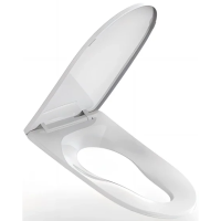 Сиденье для унитаза Arrow PG017-ZPA с микролифтом, белое