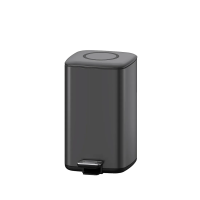 Мусорное ведро Weltwasser WW Wally TG 9L с педалью, серое матовое